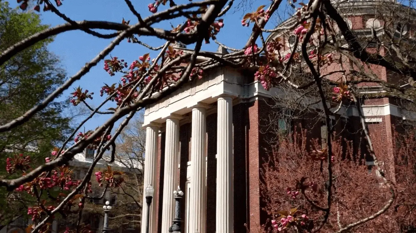 columbia-video-image-new